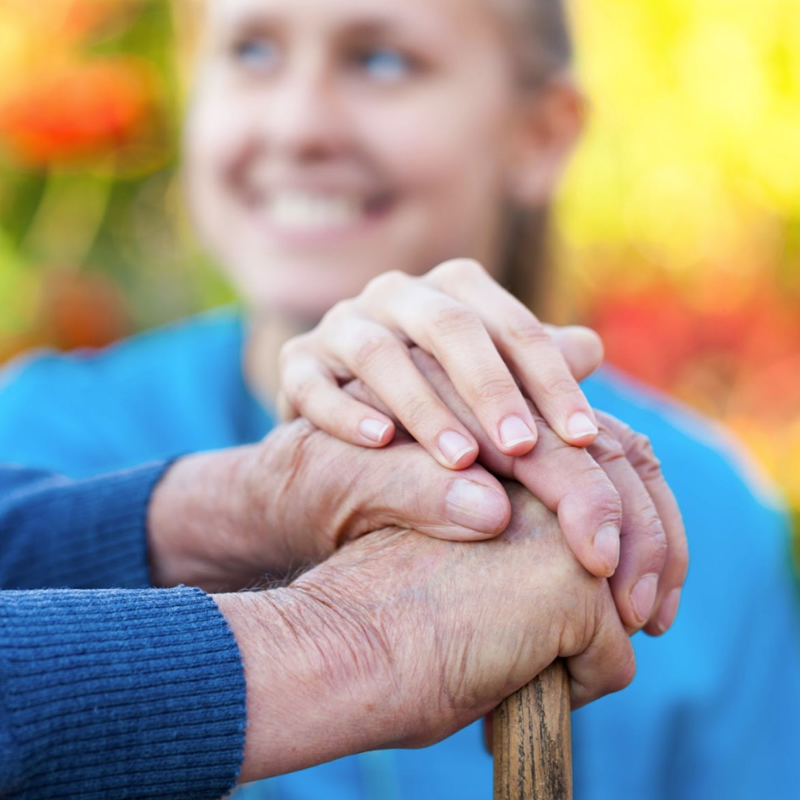 companionship blackpool